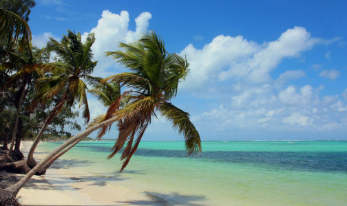 bavaro beaches turquoise water and white sand