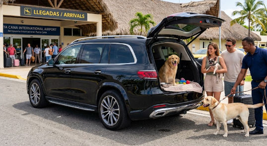 Pet Friendly Airport Taxi Punta Cana