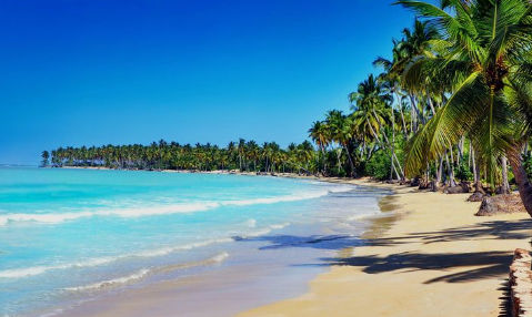 Costas de Las Terrenas y Samana sin sargazo en invierno