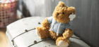 beren en teddybeer