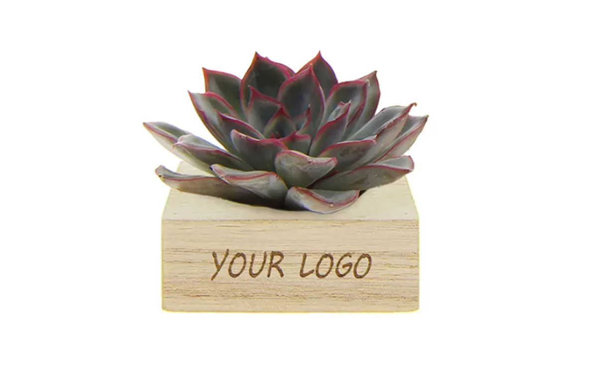 Promoplants