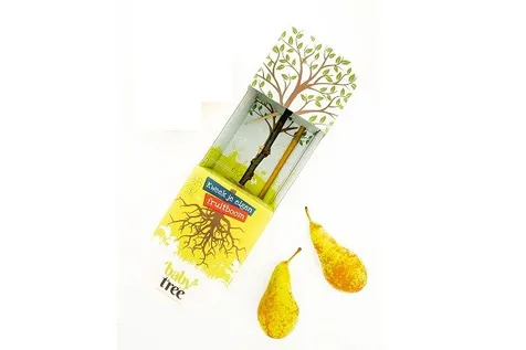 Baby Tree Peer