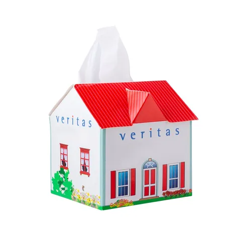 Tissue box huis