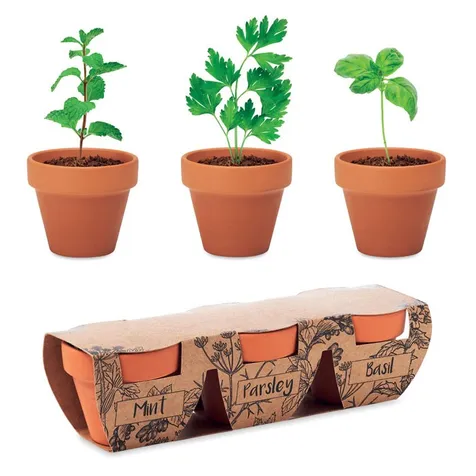 Kruidenpotjes set van 3 FLOWERPOT