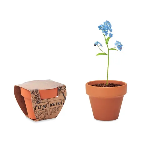 Potje Vergeet-me-nietjes FORGET ME NOT