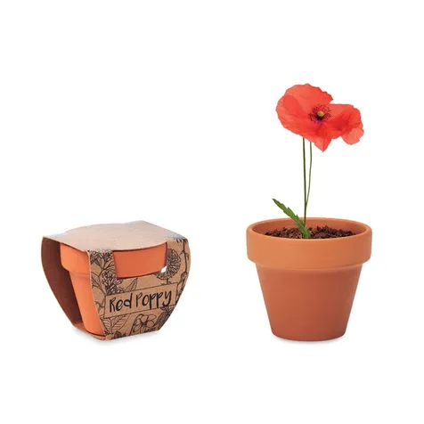 Potje Klaproos RED POPPY