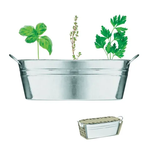 Zinken kuipje 3 zakjes MIX SEEDS