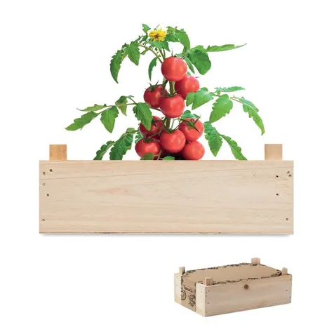 Tomatenkweekset houten kratje TOMATO