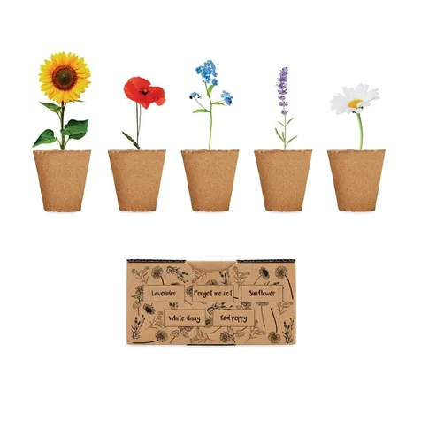 Bloemen kweekset FLOWERS