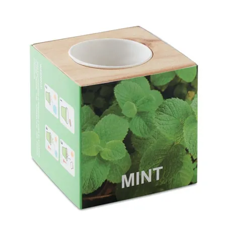 Kweekset, munt in houten pot MENTA