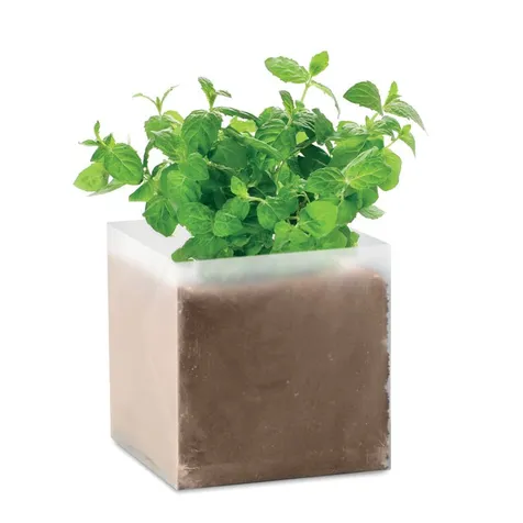 Compost met munt zaadjes MINT