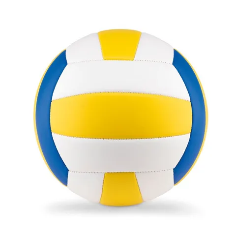 Volleybal VOLLEY