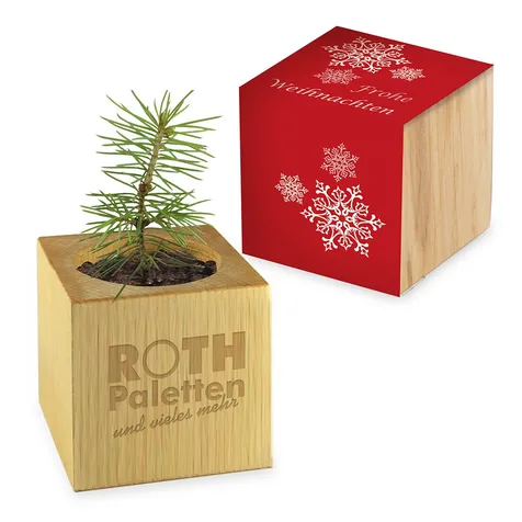 Houten plantenset Kerstmis
