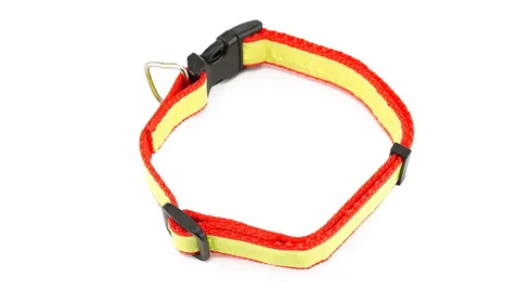 Halsband Muttley