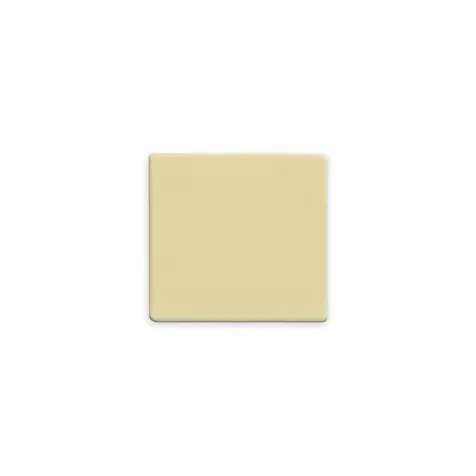LogoPraline