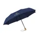 Michigan opvouwbare RPET paraplu 21 inch