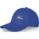 Davis 6 panel cap