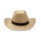 Cowboyhoed van stro