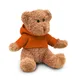 Teddybeer met sweatshirt