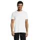 SOL S REGENT Unisex t-shirt 150g/m²
