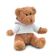 Teddybeer met sweatshirt