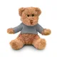 Teddybeer met sweatshirt JOHNNY