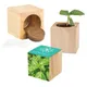 Houten plantenset Maxi