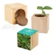 Houten plantenset Maxi
