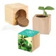 Houten plantenset Maxi