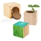 Houten plantenset Maxi