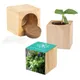 Houten plantenset Maxi