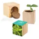 Houten plantenset Maxi