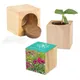 Houten plantenset Maxi
