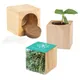 Houten plantenset Maxi