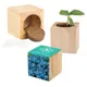 Houten plantenset Maxi