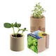 Houten plantenset rond