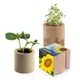 Houten plantenset rond