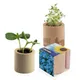 Houten plantenset rond