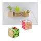 Houten plantenset magneet