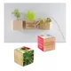 Houten plantenset magneet