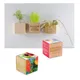 Houten plantenset magneet
