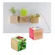 Houten plantenset magneet