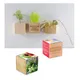Houten plantenset magneet