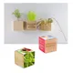 Houten plantenset magneet