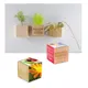 Houten plantenset magneet