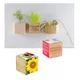 Houten plantenset magneet