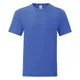 Kleuren T-Shirt Volwassene Iconic