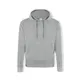 Volwassene Sweatshirt Grea