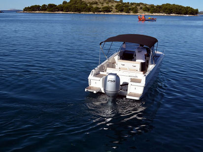 Motoscafo Atlantic Marine 730 Sun Cruiser · 2015 (0)