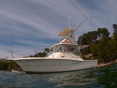 Motorboot Pursuit Offshore 3000 · 2004 (Umbau 2014) · Deep Sea Fishing 7 hours (0)